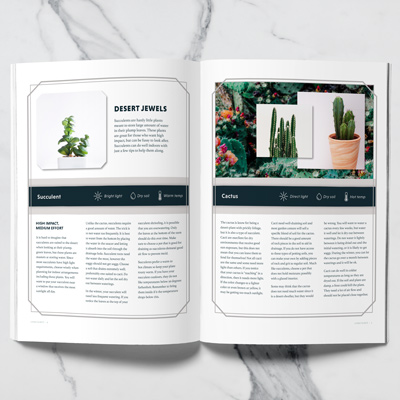 Living plants magazine cover